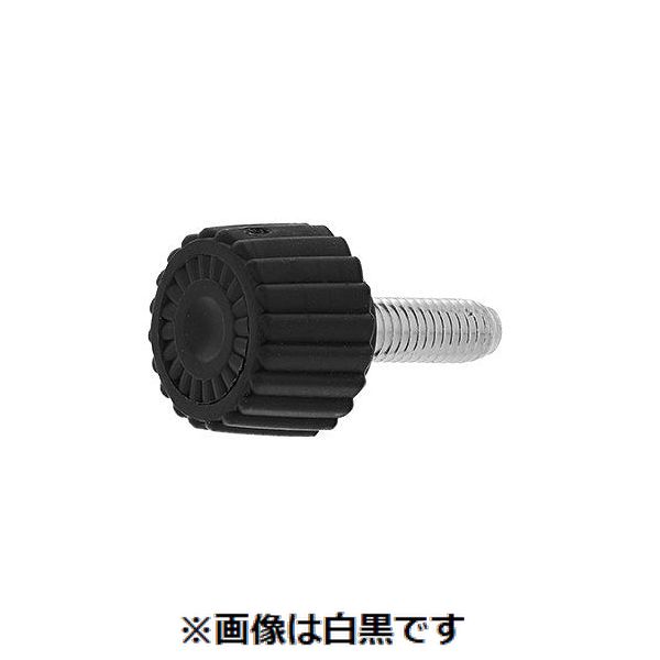 新着商品目録ペイジ