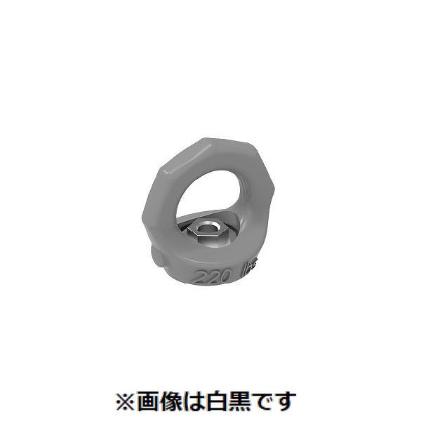 【特集】雨季打つ手グッズ