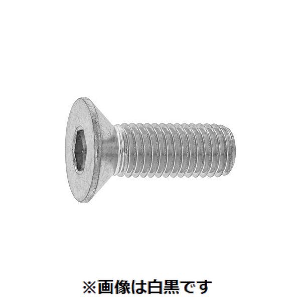 (LINEクーポン有)【個人宅配送不可】【個数：40個】ＳＵＮＣＯ 4549638856857 【40個入】 直送 代引不可・他メーカー同梱不可 三価ホワイト サラCAP 日星 全ネジ 14 X 20｜測定器・工具のイーデンキ