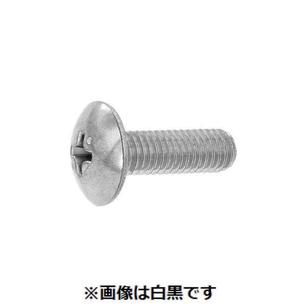 (LINEクーポン有)【個人宅配送不可】【個数：200個】ＳＵＮＣＯ 4549663009167 【200個入】 直送 代引不可・他メーカー同梱不可 A2－70 トラス小ネジ 6 X 20
