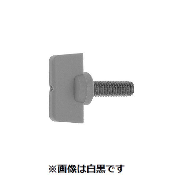 新着商品目録ペイジ