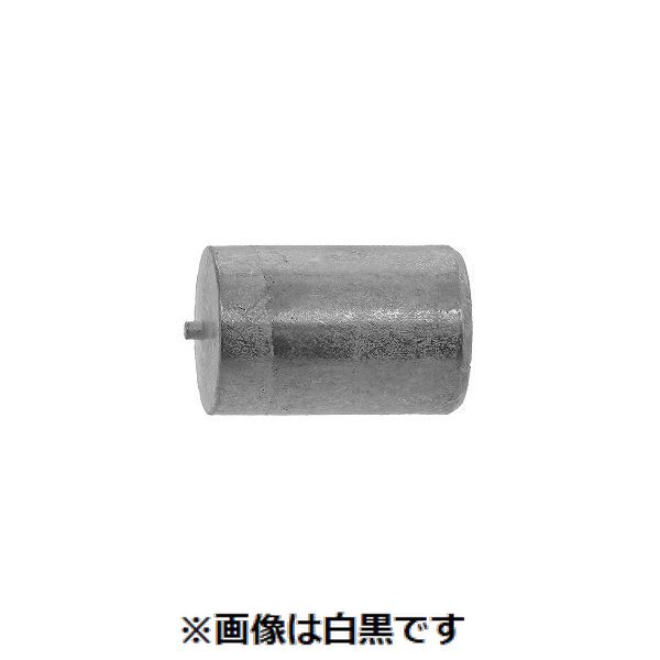 【特集】雨季打つ手グッズ