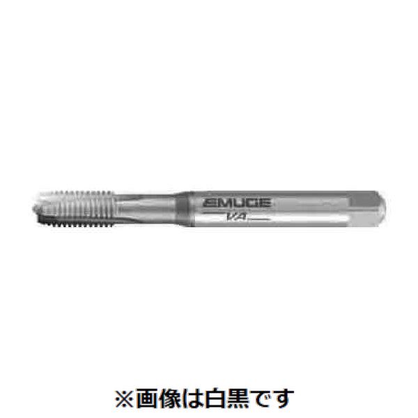 【特集】雨季打つ手グッズ