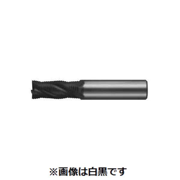 【特集】雨季打つ手グッズ