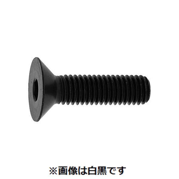 新着商品目録ペイジ
