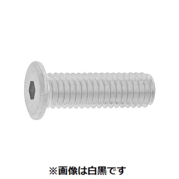新着商品目録ペイジ
