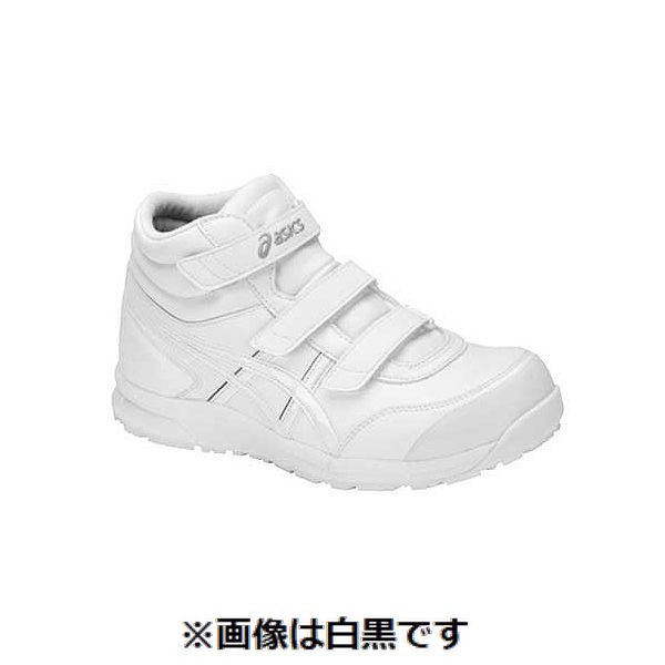 【特集】雨季打つ手グッズ