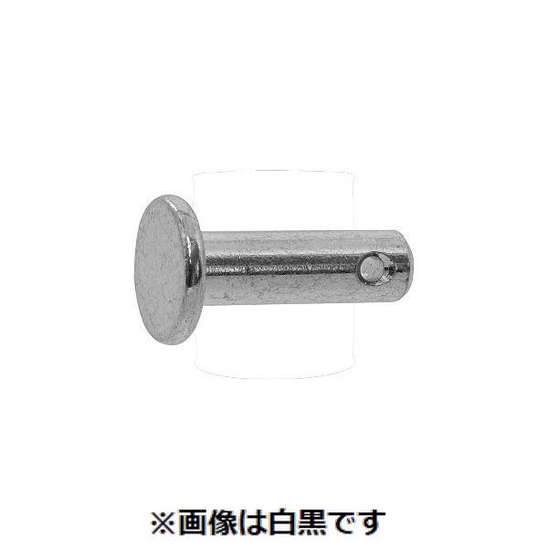 (LINEクーポン有)【個人宅配送不可】【個数：100個】ＳＵＮＣＯ 4550186857593 【100個入】 直送 代引不可・他メーカー同梱不可 三価ホワイト ロットピン ピン穴リベット 12X45