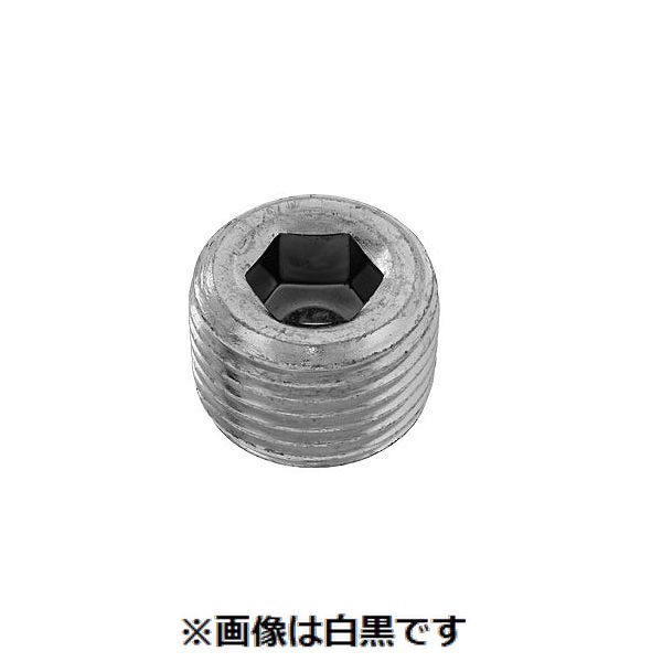 (LINEクーポン有)【個人宅配送不可】ＳＵＮＣＯ 4550186951963 【500個入】 直送 代引不可・他メーカー同梱不可 SUS316L互省プラグ 浮き GJ 1／8