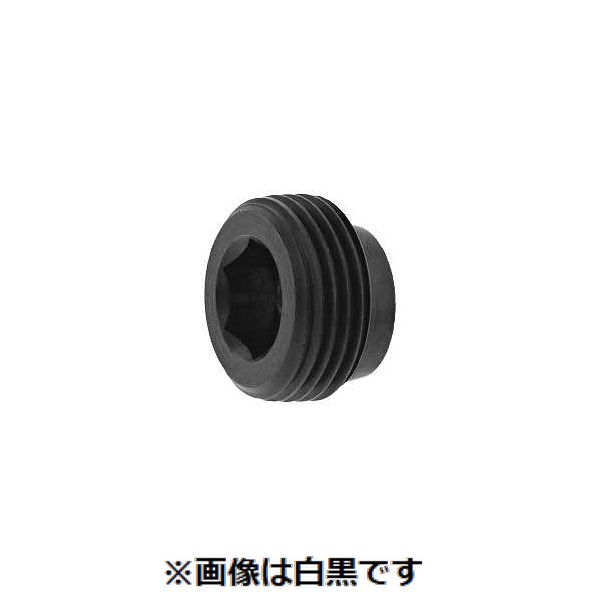 【特集】雨季打つ手グッズ
