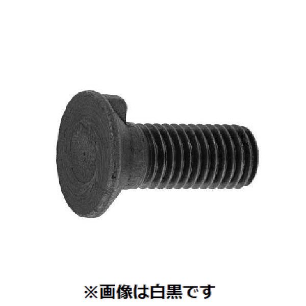 (LINEクーポン有)【個人宅配送不可】【個数:50個】SUNCO 4550289066786 【50個入】 直送 代引不可・他メーカー同梱不可 生地 SSキー付き皿ボルト 12X65 ゼン|測定器・工具のイーデンキ