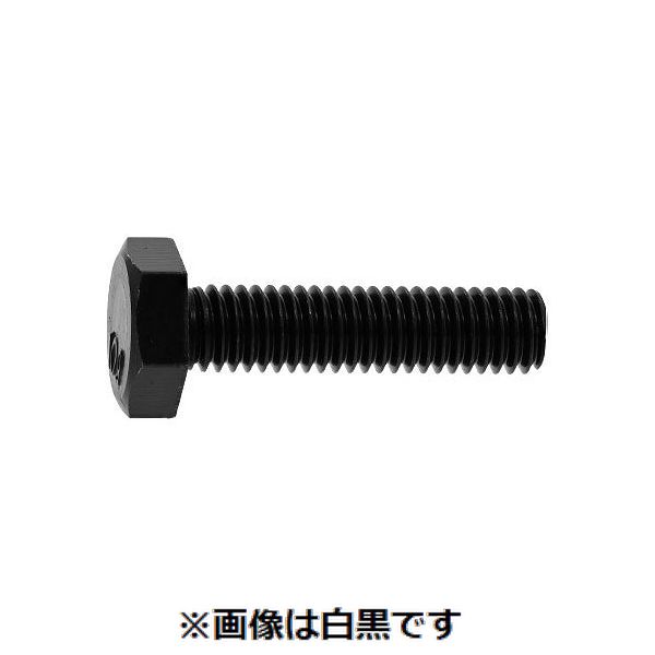 新着商品目録ペイジ