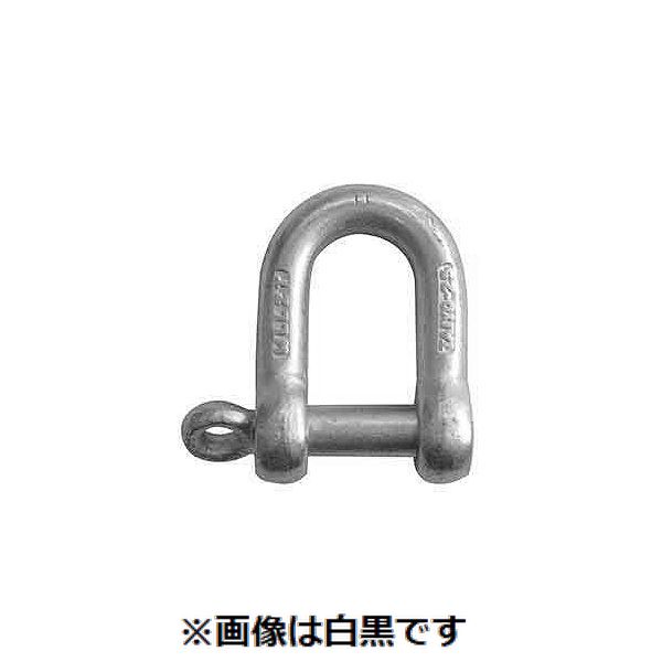【特集】雨季打つ手グッズ