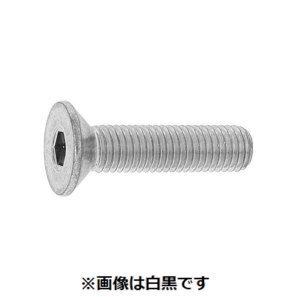 (LINEクーポン有)【個人宅配送不可】【個数：10個】ＳＵＮＣＯ 4550289371835 【10個入】 直送 代引不可・他メーカー同梱不可 三価ホワイト サラCAP 日本鋲螺 全ネジ 20 X 90