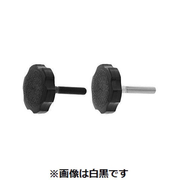 (LINEクーポン有)【個人宅配送不可】【個数：25個】ＳＵＮＣＯ 4550289746923 【25個入】 直送 代引不可・他メーカー同梱不可 サムスクリュ－ 半ネジ 菊型 黒38 10X50 ハン
