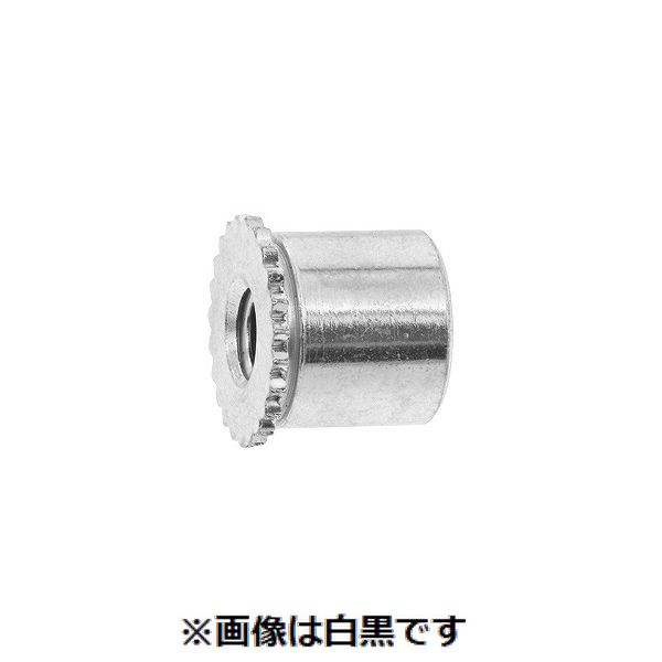 新着商品目録ペイジ