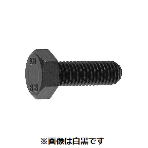 新着商品目録ペイジ