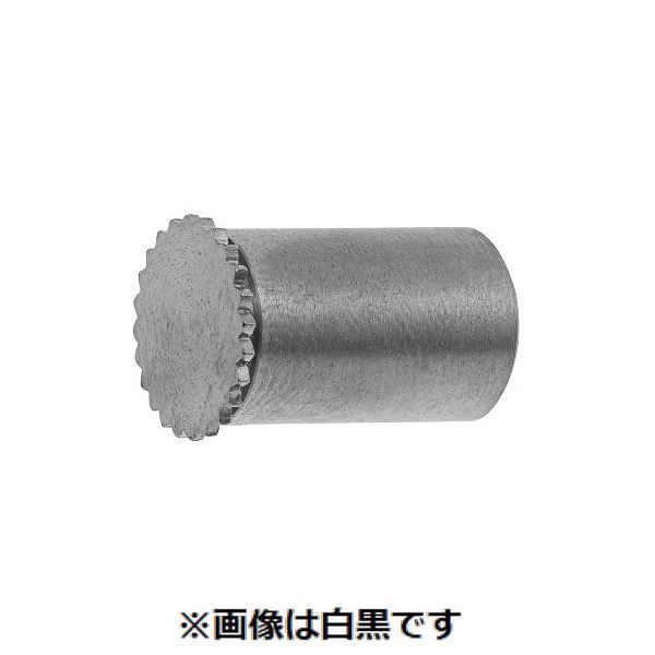新着商品目録ペイジ