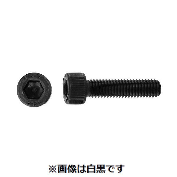 新着商品目録ペイジ