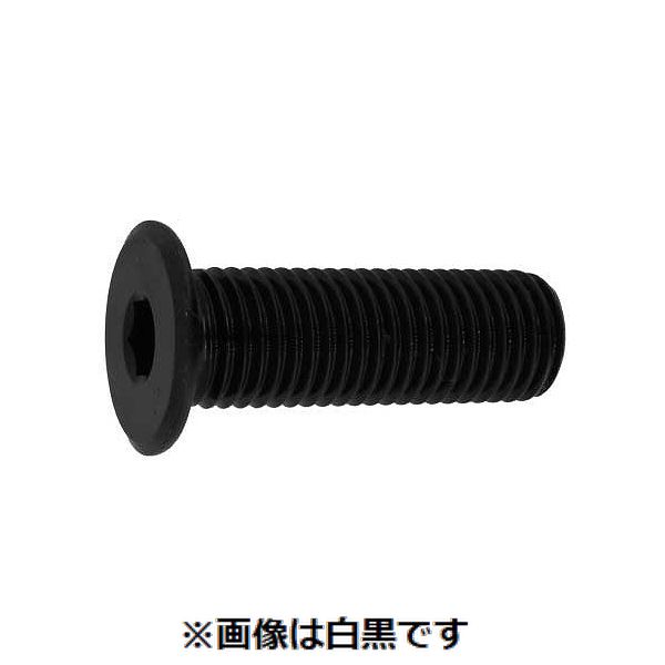 新着商品目録ペイジ