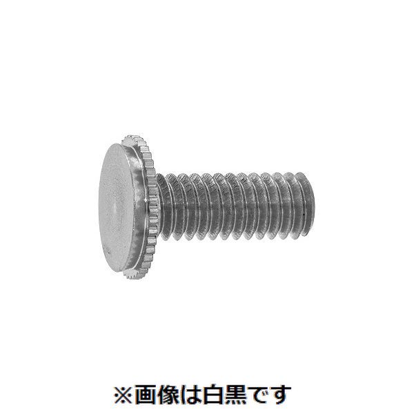新着商品目録ペイジ