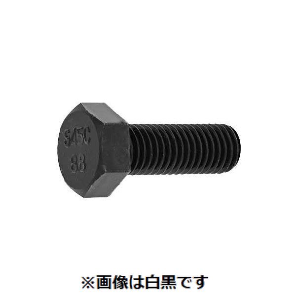 新着商品目録ペイジ