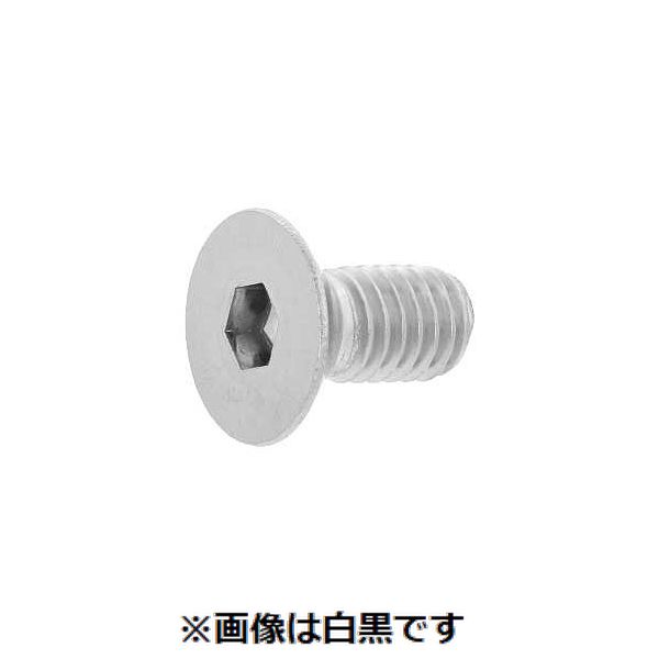 新着商品目録ペイジ