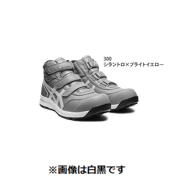 【特集】雨季打つ手グッズ