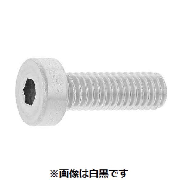 (LINEクーポン有)【個人宅配送不可】【個数：100個】ＳＵＮＣＯ 4550470300408 【100個入】 直送 代引不可・他メーカー同梱不可 SUSローヘッドCAP 六角穴対辺6 10 X 30