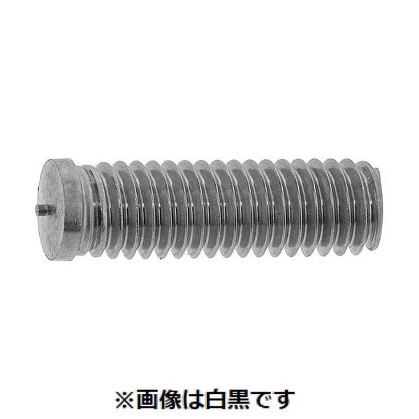 【特集】雨季打つ手グッズ 花・ガーデン・DIY-DIY・工具