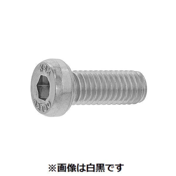 新着商品目録ペイジ