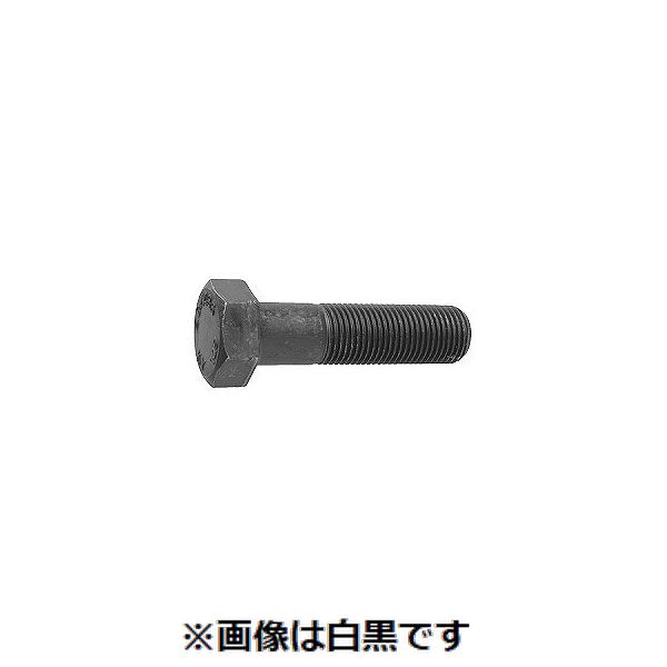 (LINEクーポン有)【個人宅配送不可】【個数：1個】ＳＵＮＣＯ 4550534220482 直送 代引不可・他メーカー同梱不可 10．9 六角ボルト 細目 P3．0 52X250X129