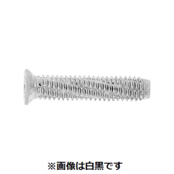 【特集】雨季打つ手グッズ