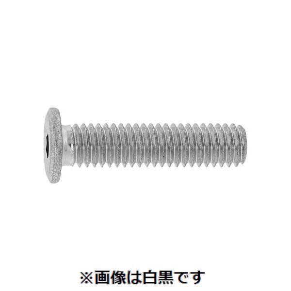 (LINEクーポン有)【個人宅配送不可】【個数:1000個】SUNCO 4942131364421 【1000個入】 直送 代引不可・他メーカー同梱不可 クロ-ム 極薄・NSローヘッド 4 X 10