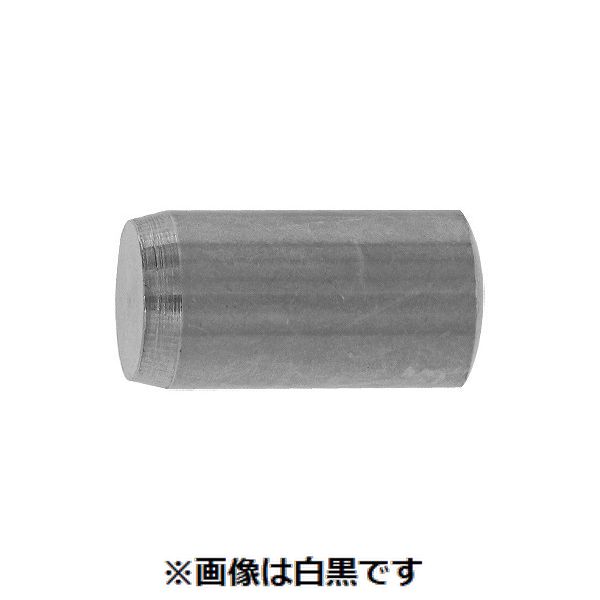 (LINEクーポン有)【個人宅配送不可】【個数：100個】ＳＵＮＣＯ 4942131393520 【100個入】 直送 代引不可・他メーカー同梱不可 SUS 平行ピン A種 姫野精工所製 12 X 25