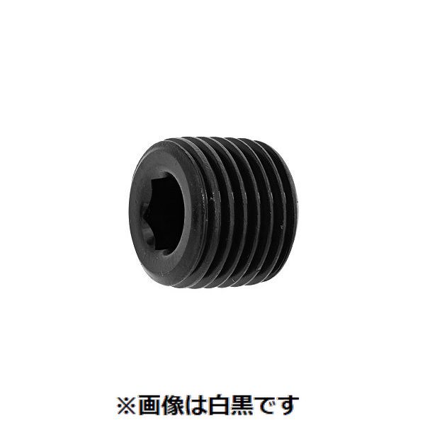 (LINEクーポン有)【個人宅配送不可】【個数:30個】SUNCO 4942131511771 【30個入】 直送 代引不可・他メーカー同梱不可 SUSプラグA 浮き PT 1”|測定器・工具のイーデンキ