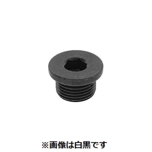 (LINEクーポン有)【個人宅配送不可】SUNCO 4942131524337 【500個入】 直送 代引不可・他メーカー同梱不可 GOSHOプラグ ツバ付き GPF 1/8|測定器・工具のイーデンキ