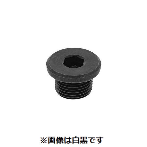 (LINEクーポン有)【個人宅配送不可】【個数:50個】SUNCO 4942131525044 【50個入】 直送 代引不可・他メーカー同梱不可 GOSHOプラグ 高圧用 JOHS 3/4|測定器・工具のイーデンキ