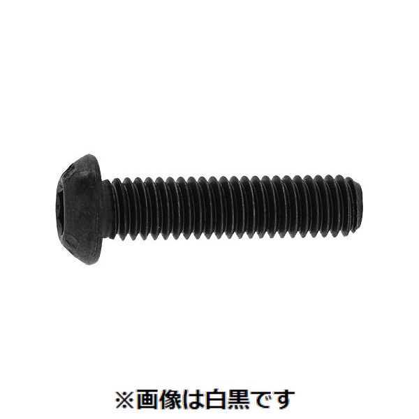新着商品目録ペイジ