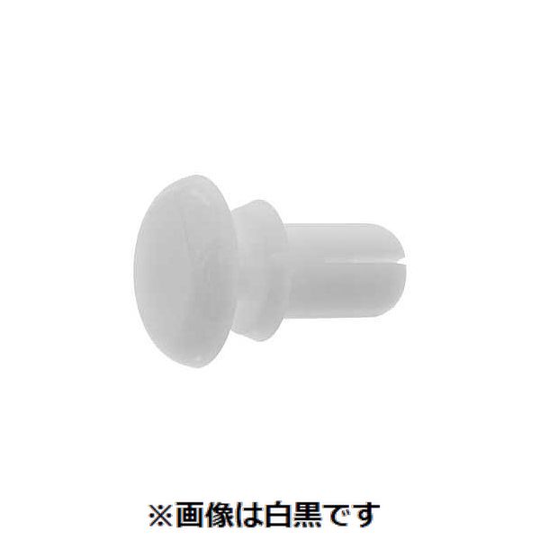 【特集】雨季打つ手グッズ 花・ガーデン・DIY-DIY・工具