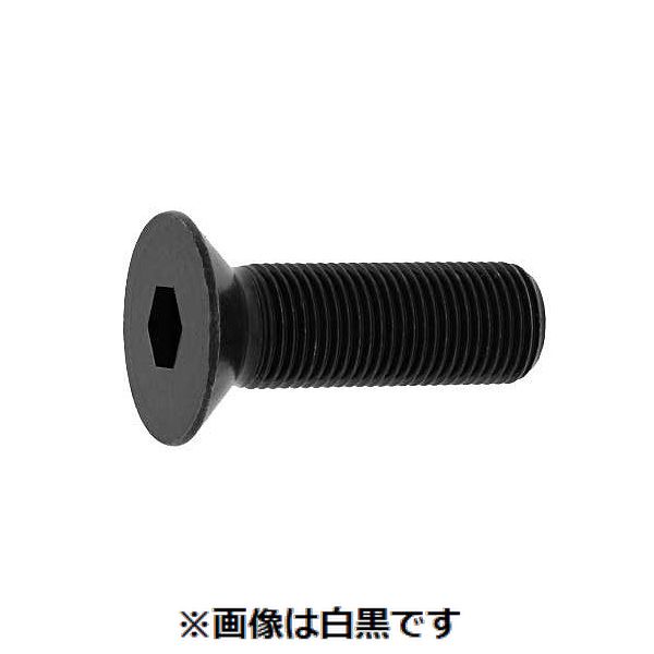 (LINEクーポン有)【個人宅配送不可】【個数：200個】ＳＵＮＣＯ 4942131607955 【200個入】 直送 代引不可・他メーカー同梱不可 サラCAP 細目 P－1．25 全ネジ 10 X 15