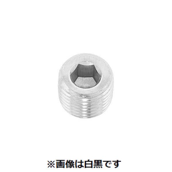 (LINEクーポン有)【個人宅配送不可】【個数：200個】ＳＵＮＣＯ 4942131696447 【200個入】 直送 代引不可・他メーカー同梱不可 クロメ&minus;ト 阪村 プラグ 浮き R1／2&minus;14｜測定器・工具のイーデンキ 9,756円