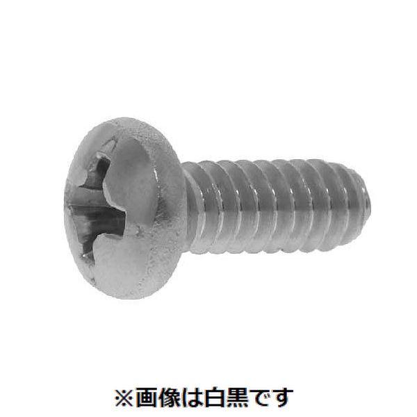 (LINEクーポン有)【個人宅配送不可】【個数：100個】ＳＵＮＣＯ 4942131733401 【100個入】 直送 代引不可・他メーカー同梱不可 ステン＋UNC PAN ＃10－24X 2”