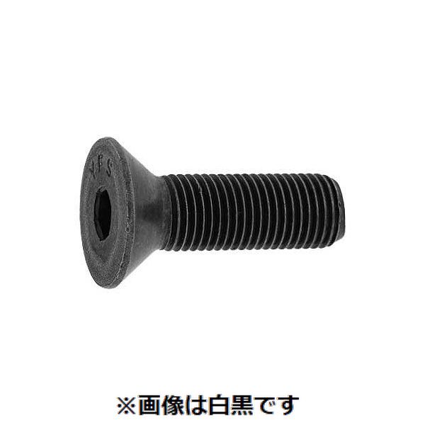 新着商品目録ペイジ