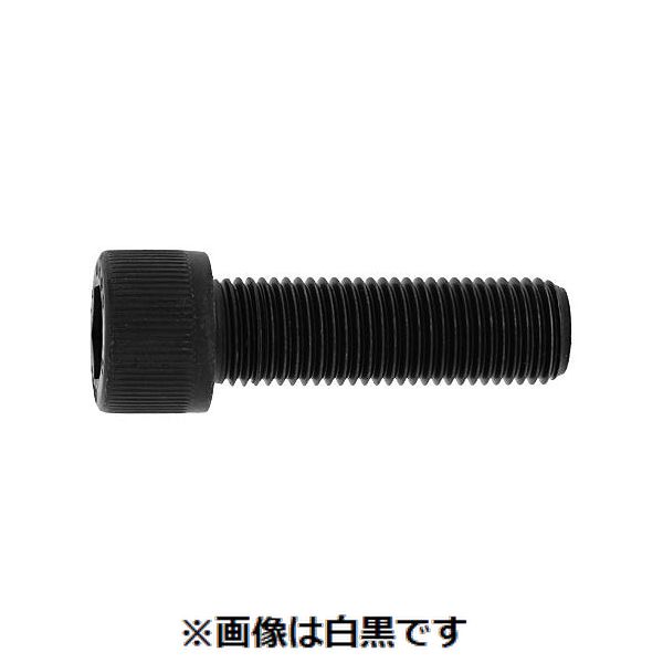 (LINEクーポン有)【個人宅配送不可】【個数：100個】ＳＵＮＣＯ 4942131805221 【100個入】 直送 代引不可・他メーカー同梱不可 CAP UNF アンブラコ 1／4－28X5／8