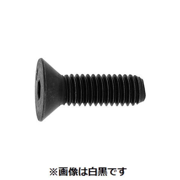 (LINEクーポン有)【個人宅配送不可】【個数：100個】ＳＵＮＣＯ 4942131806518 【100個入】 直送 代引不可・他メーカー同梱不可 サラCAP UNC アンブラコ ＃10－24X3／4