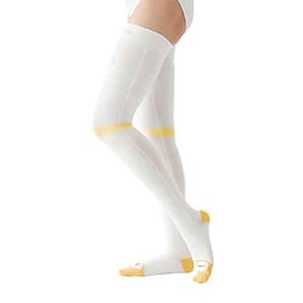 【特集】雨季打つ手グッズ