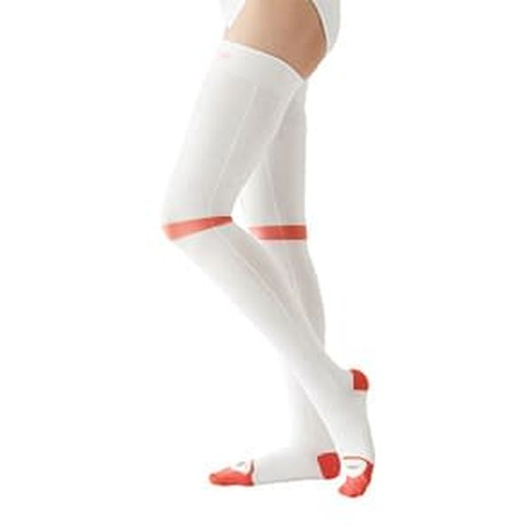 【特集】雨季打つ手グッズ