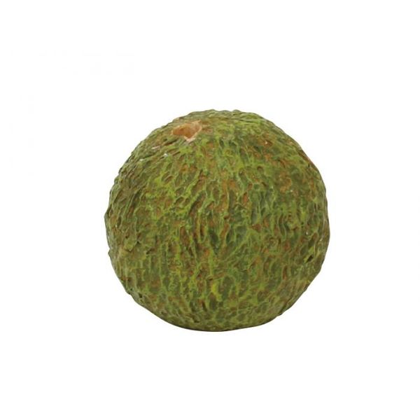 4988441809740 【30個入】 いろはに花 苔玉 S 丸 400868901【キャンセル不可】｜測定器・工具のイーデンキ