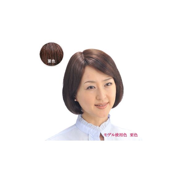 新着商品目録ペイジ